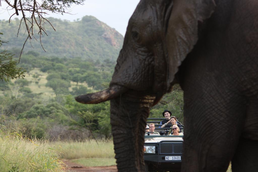 Leopard Mountain Safari Lodge Manyoni Private Game Reserve Luaran gambar