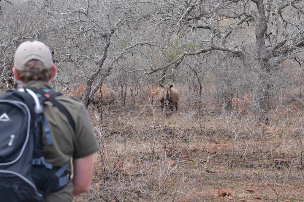 Leopard Mountain Safari Lodge Manyoni Private Game Reserve Luaran gambar