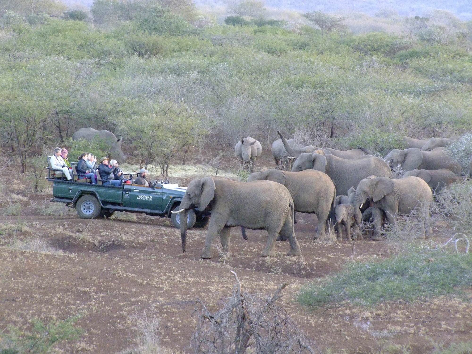 Leopard Mountain Safari Lodge Manyoni Private Game Reserve Luaran gambar